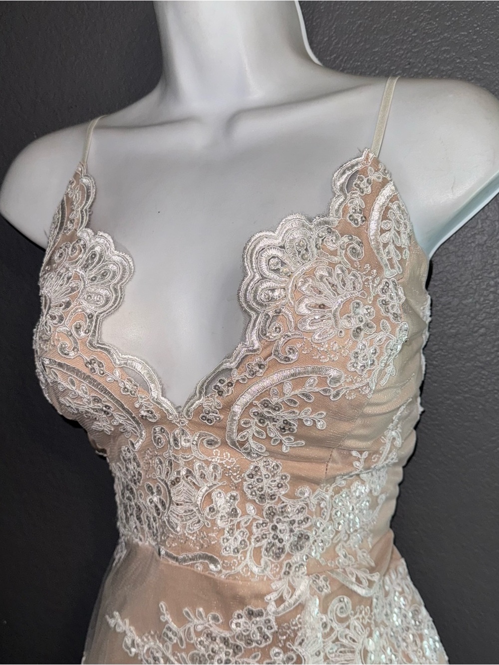 Windsor Nude Lace Maxi Dress with White Appliqué - Picture 4 of 9